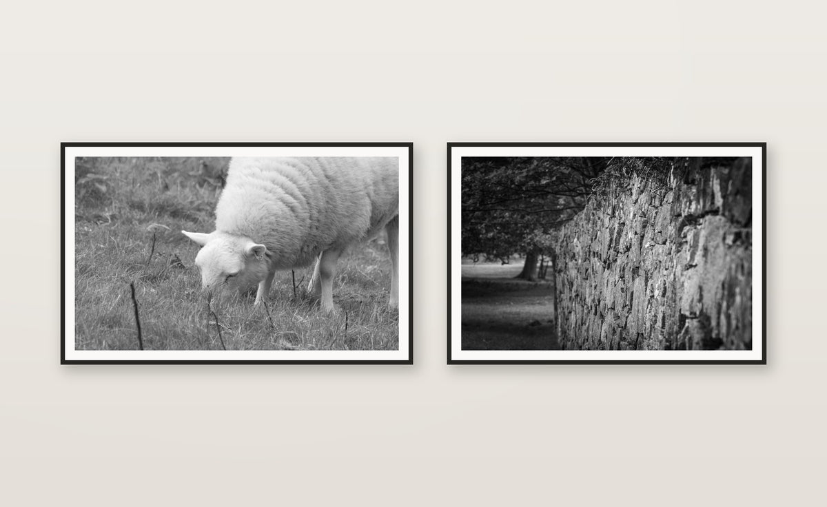 Sheep — set mockup