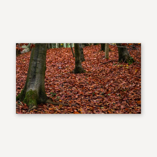 Autumn Leaves — canvas print