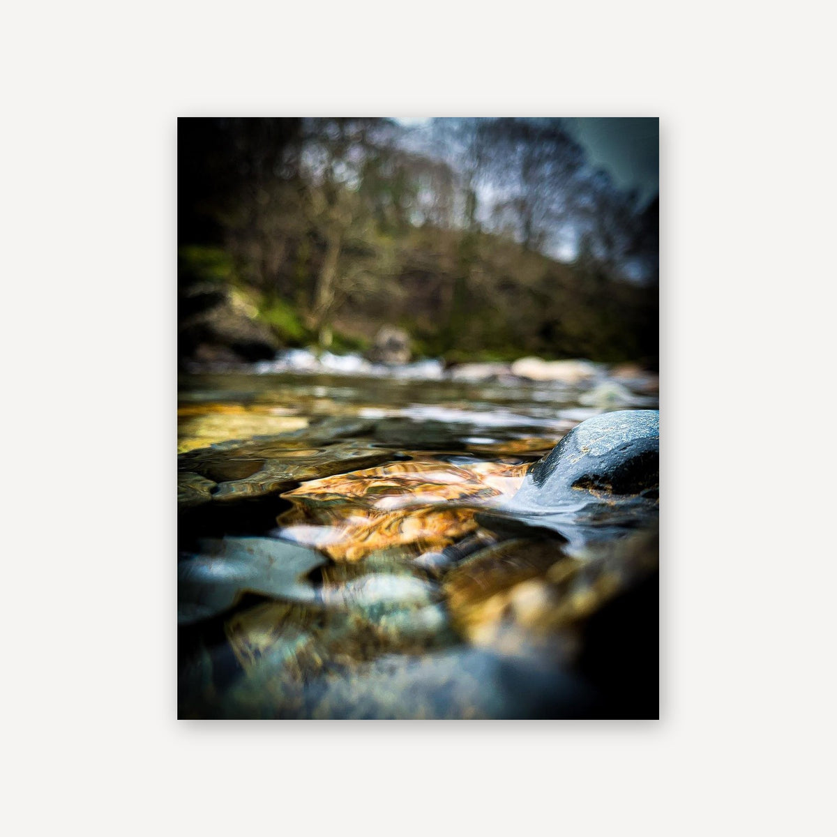 Lake Cover — canvas print