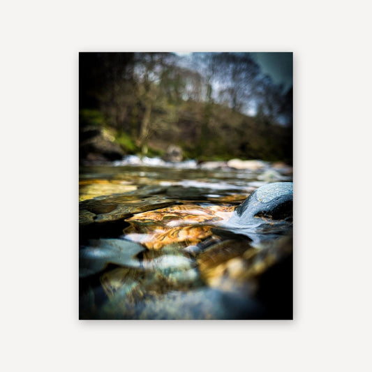 Lake Cover — canvas print