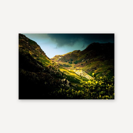 Golden Valley — canvas print