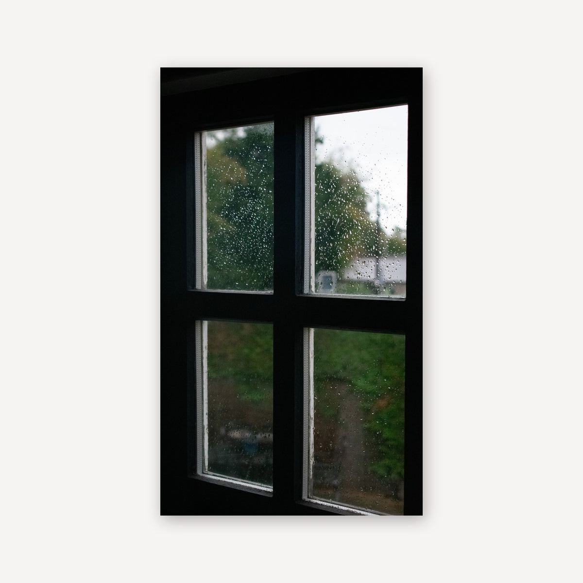 Rainy Windows — canvas print