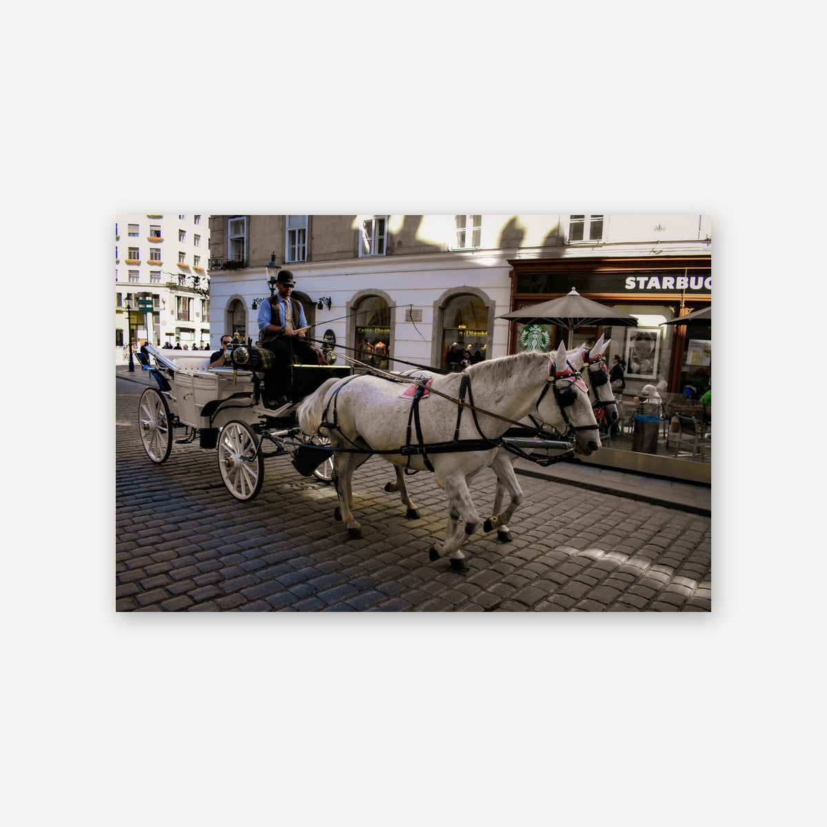 Horse And Cart — canvas print