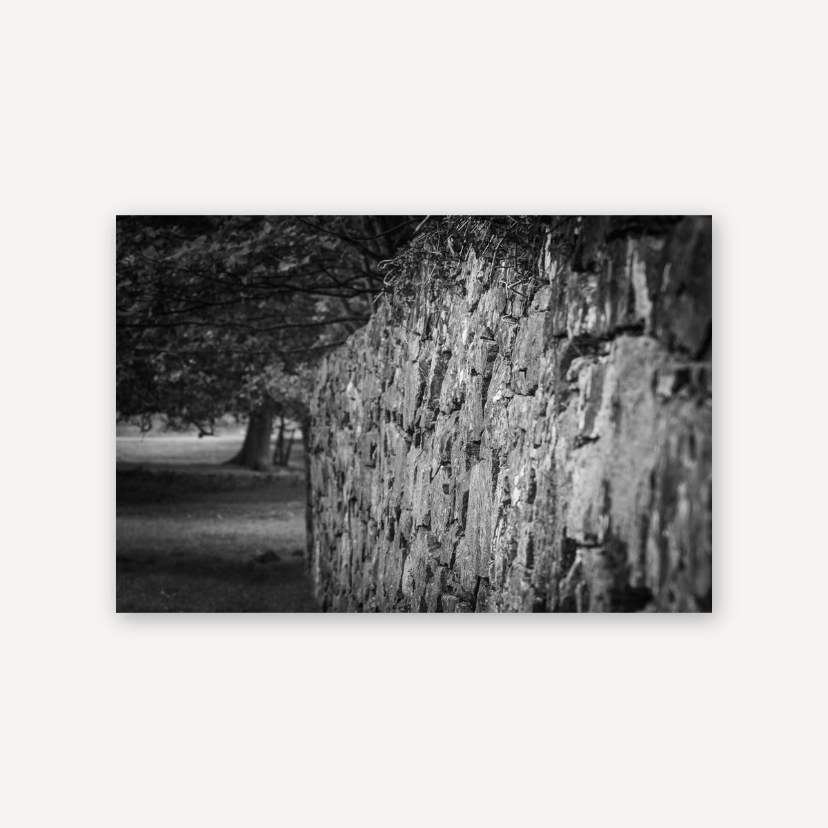 Stonemason Wall — canvas print