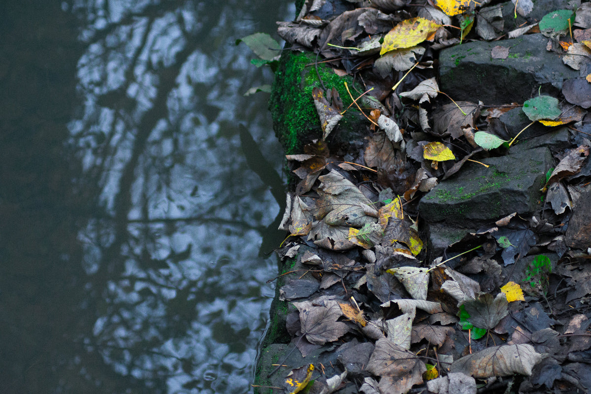 Reflection — minimalist photography print